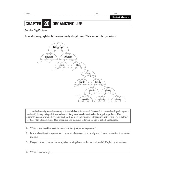 Organizing Life Worksheet for 7th - 12th Grade | Lesson Planet