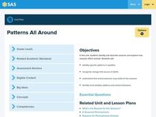 Patterns All Around Lesson Plan for 2nd Grade | Lesson Planet