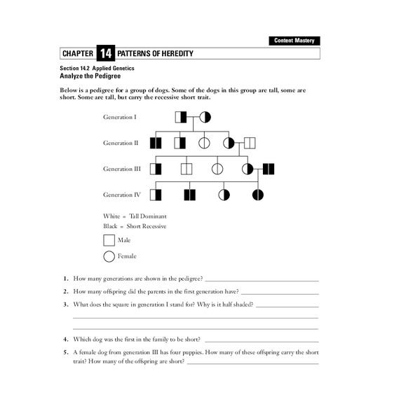 patterns-of-heredity-worksheet-for-7th-8th-grade-lesson-planet