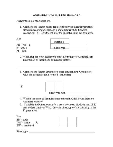 patterns of heredity graphic organizer for 7th 12th pedigree chart inheritance patterns