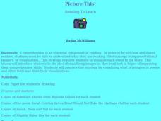 Picture This! Lesson Plan