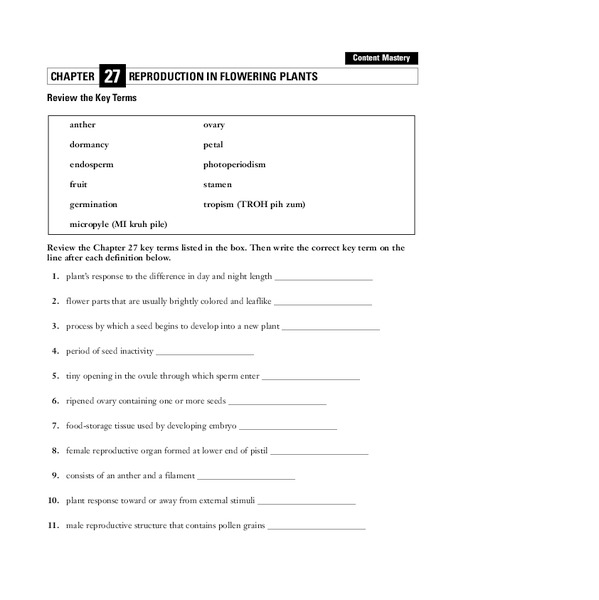 Reproduction In Flowering Plants 9th 12th Grade Worksheet Reproduction In Flowering Plants 9th 12th Grade Worksheet Lesson Planet