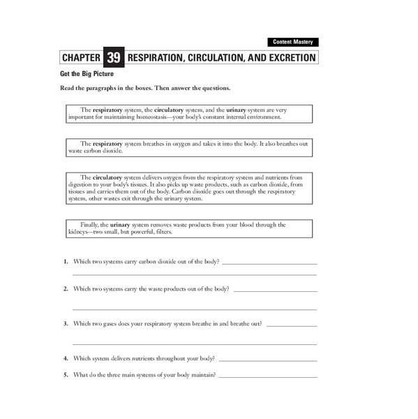 Respiration, Circulation, and Excretion Worksheet for 5th 6th Grade