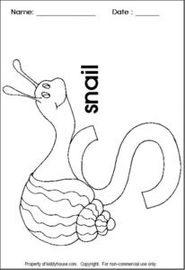 snail printables template for