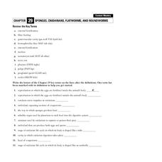 sponges cnidarians flatworms and