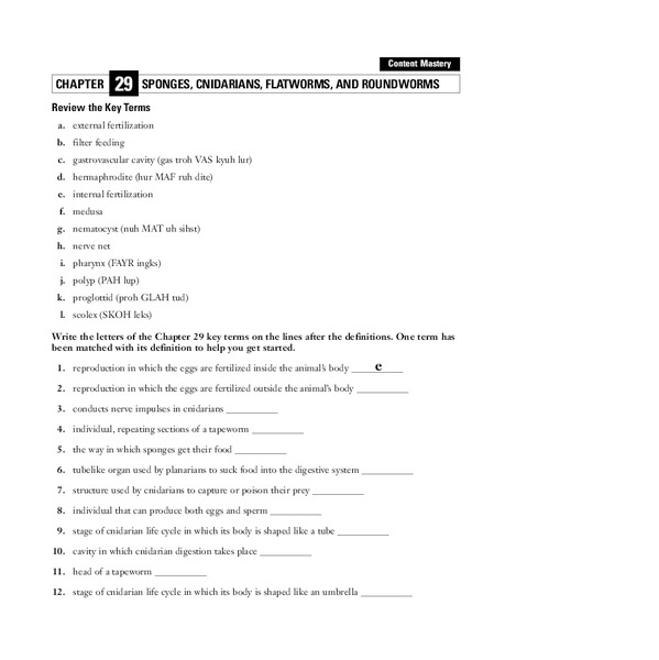 Sponges, Cnidarians, Flatworms, and Roundworms Worksheet for 9th Higher Ed Lesson