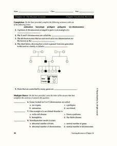 Pedigree chart critical thinking