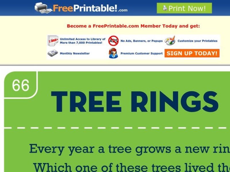 Tree Rings Worksheet for PreK 1st Grade Lesson