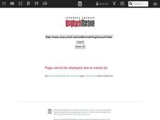 Using The Calculator Lesson Plan