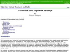 Water: Our Most Important Beverage Lesson Plan