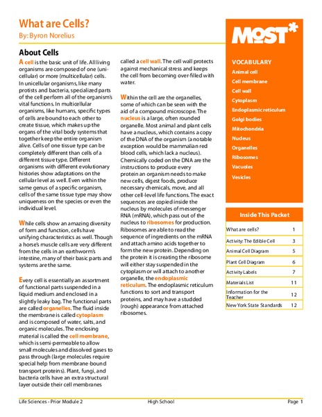 What Are Cells? Activities & Project for 7th - 12th Grade | Lesson Planet