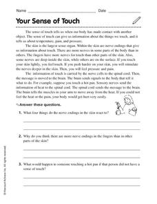 your sense of touch worksheet for 4th 7th grade lesson planet