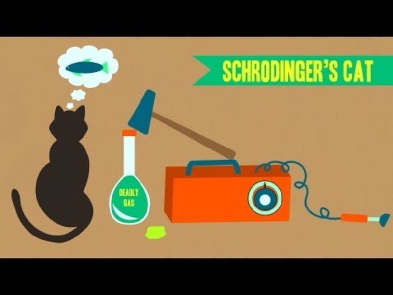 Schrodinger's Cat Instructional Video for 9th 12th Grade Lesson